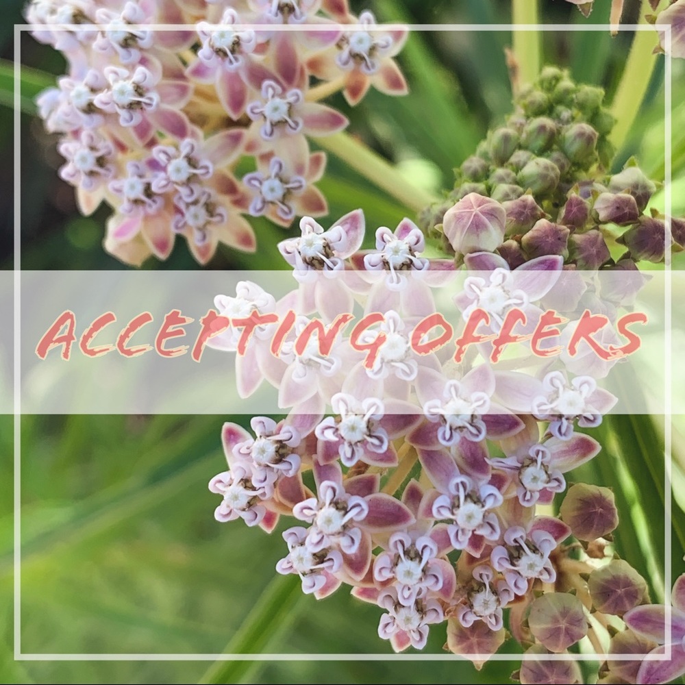 🙌 encouraging all fair offers! 🙌